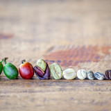 History of Coffee: A-Z Fundamentals