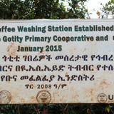 Ethiopia Organic Sidamo Guji (Organic)