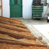Colombian Decaf Swiss Water Process
