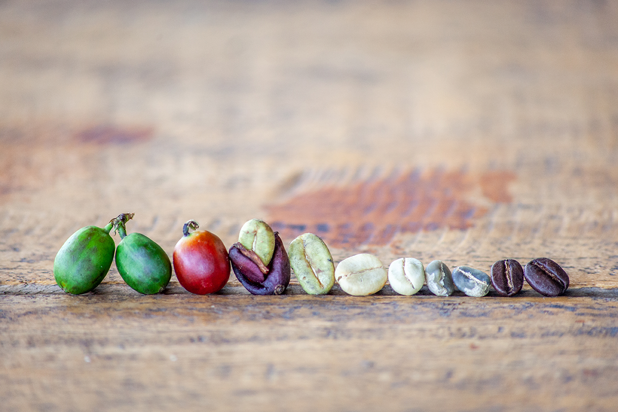 History of Coffee: A-Z Fundamentals