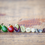 History of Coffee: A-Z Fundamentals